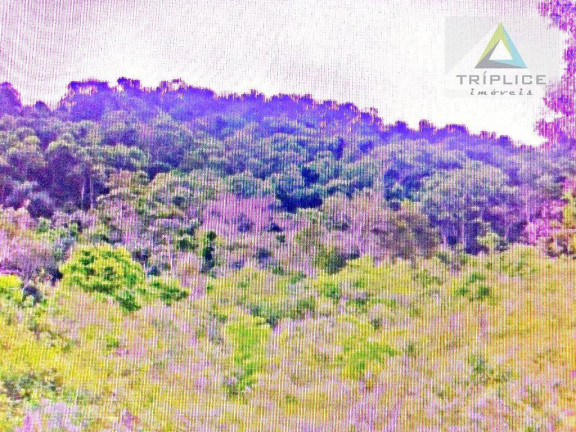 Imagem Terreno à Venda, 9.475 m² em Salvaterra - Juiz De Fora Imagem Terreno à Venda, 9.475 m² em Salvaterra - Juiz De Fora