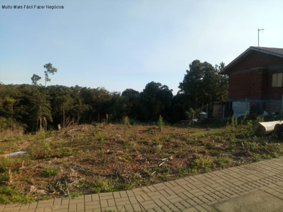 Terreno à Venda, 508 m² em Vale Verde - Nova Petrópolis