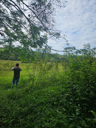 Imagem Chácara à Venda, 2 m² em Arapongas Imagem Chácara à Venda, 2 m² em Arapongas