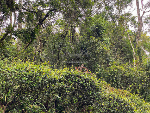 Imagem Terreno à Venda, 1 m² em Parque Aquarela - Campos Do Jordão Imagem Terreno à Venda, 1 m² em Parque Aquarela - Campos Do Jordão