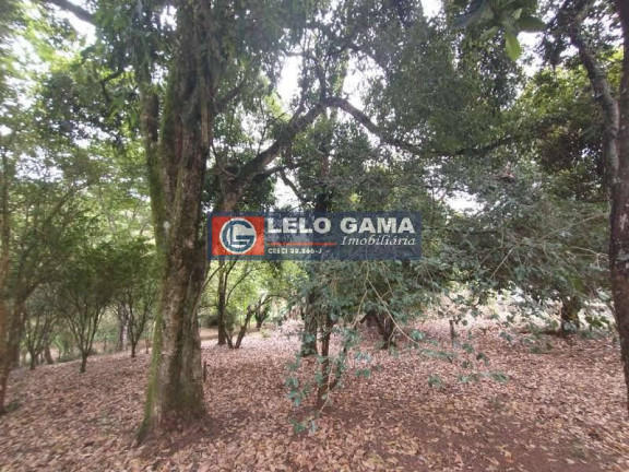 Imagem Terreno à Venda, 3 m² em Maria Mercedes - Santana De Parnaíba Imagem Terreno à Venda, 3 m² em Maria Mercedes - Santana De Parnaíba