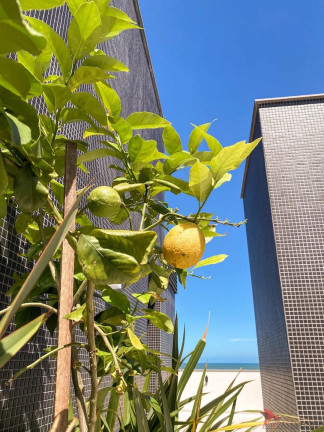 Imagem Apartamento com 2 Quartos à Venda, 81 m² em Praia Da Cal - Torres Imagem Apartamento com 2 Quartos à Venda, 81 m² em Praia Da Cal - Torres