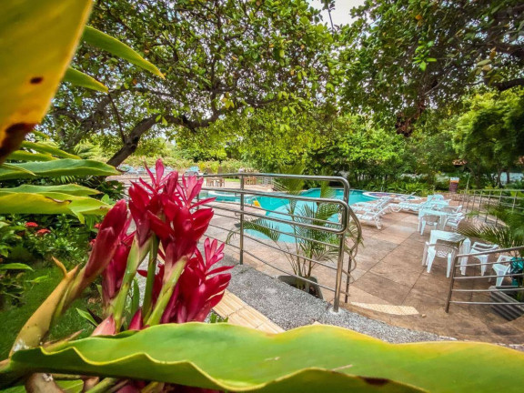 Imagem Apartamento com 1 Quarto à Venda, 40 m² em Praia Da Pipa - Tibau Do Sul