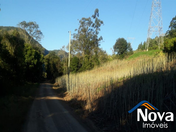 Imagem Imóvel à Venda, 60.000 m² em Linha Riachuelo - Nova Petrópolis