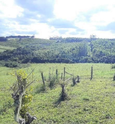 Imagem Fazenda à Venda, 20 m² em Campo Grande - Pilar Do Sul Imagem Fazenda à Venda, 20 m² em Campo Grande - Pilar Do Sul