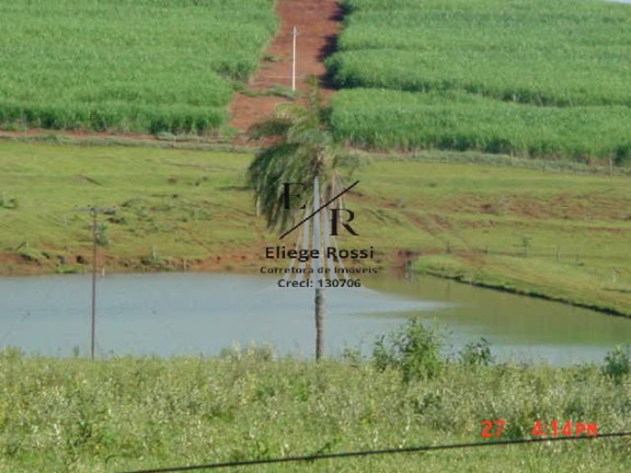 Imagem Fazenda à Venda, em Cajuru Imagem Fazenda à Venda, em Cajuru