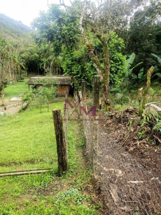 Imagem Chácara com 3 Quartos à Venda, 8.000 m² em Alexandra - Paranaguá
