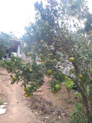 Chácara com 2 Quartos à Venda, 100 m² em Centro - Ibiúna