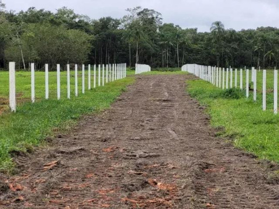 Imagem Imóvel à Venda, 22.233 m² em Colonia Quintilha - Paranagua Imagem Imóvel à Venda, 22.233 m² em Colonia Quintilha - Paranagua