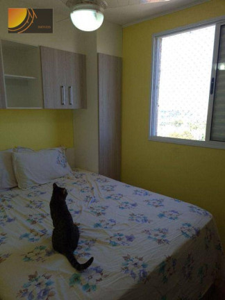 Imagem Apartamento com 2 Quartos à Venda, 45 m² em Pirituba - São Paulo Imagem Apartamento com 2 Quartos à Venda, 45 m² em Pirituba - São Paulo