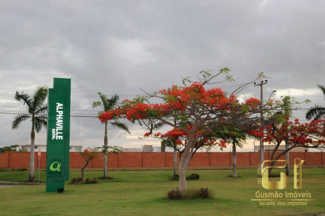 Imagem Terreno à Venda, 450 m² em Pium (distrito Litoral) - Parnamirim Imagem Terreno à Venda, 450 m² em Pium (distrito Litoral) - Parnamirim