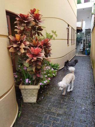 Imagem Casa com 3 Quartos à Venda, 200 m² em Portal Do Morumbi - São Paulo Imagem Casa com 3 Quartos à Venda, 200 m² em Portal Do Morumbi - São Paulo