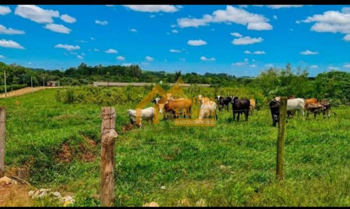 Imagem Fazenda à Venda, 314.000 m² em Vale San Fernando - Itapetininga Imagem Fazenda à Venda, 314.000 m² em Vale San Fernando - Itapetininga
