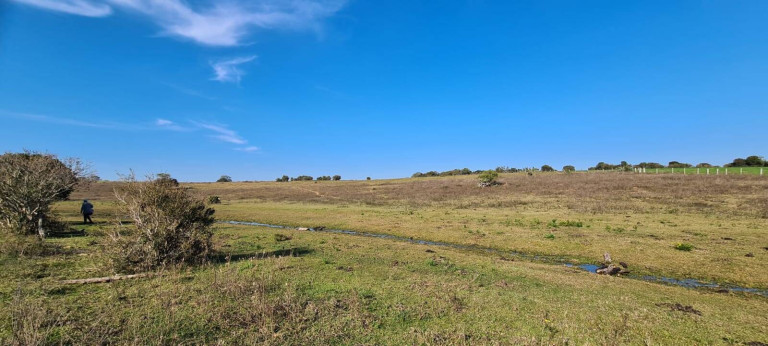 Imagem Chácara com 1 Quarto à Venda, 108.000 m² em Itapuã - Viamão