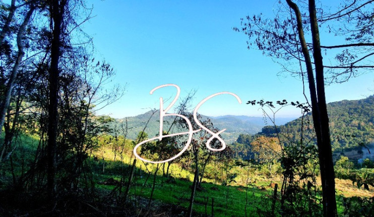 Imagem Imóvel com 1 Quarto à Venda, em Br116 - Nova Petrópolis Imagem Imóvel com 1 Quarto à Venda, em Br116 - Nova Petrópolis