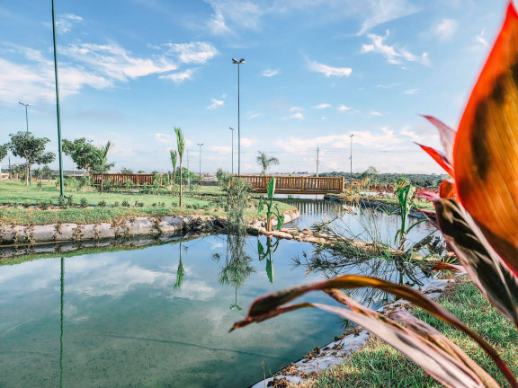 Imagem Terreno à Venda, 182 m² em Sim - Feira De Santana Imagem Terreno à Venda, 182 m² em Sim - Feira De Santana