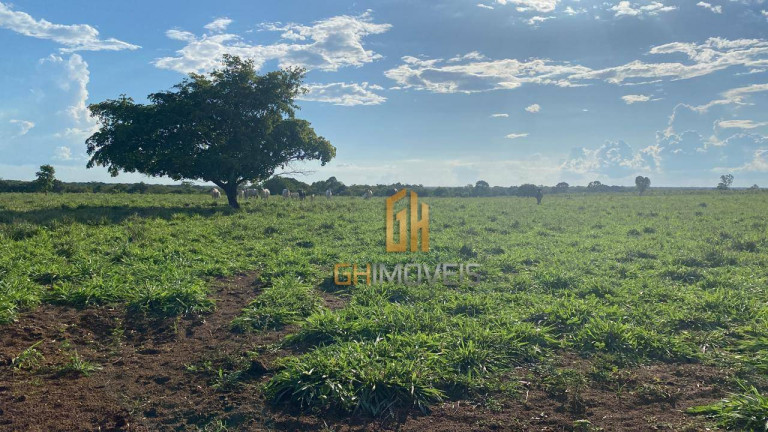 Imagem Fazenda à Venda, 4.017.000 m² em Assentamento - Ribeirão Cascalheira Imagem Fazenda à Venda, 4.017.000 m² em Assentamento - Ribeirão Cascalheira