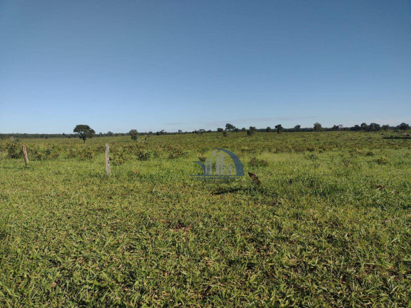 Imagem Fazenda à Venda, 10.210.000 m² em Centro - Ribas Do Rio Pardo Imagem Fazenda à Venda, 10.210.000 m² em Centro - Ribas Do Rio Pardo