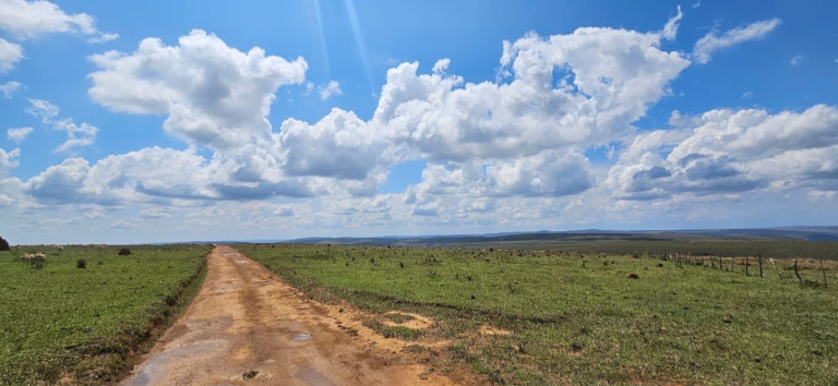 Imóvel à Venda,  em Serra Da Canastra - Delfinópolis