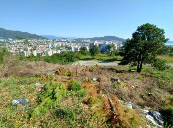 Imagem Terreno à Venda, 525 m² em Itacorubi - Florianópolis
