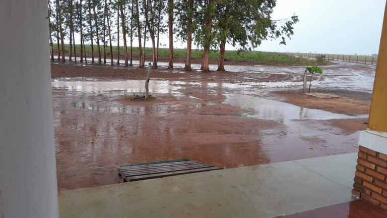 Imagem Fazenda à Venda, 1 m² em Mateiros Imagem Fazenda à Venda, 1 m² em Mateiros