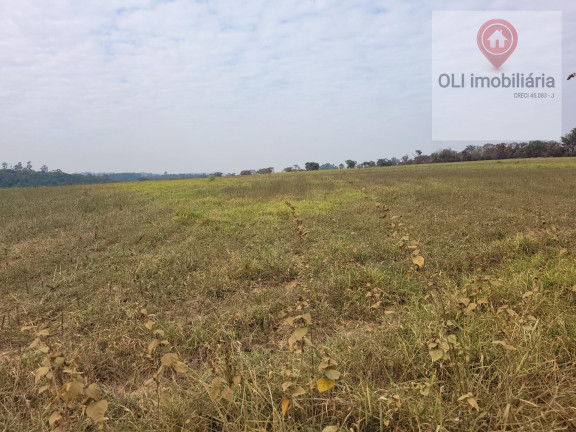 Imagem Imóvel à Venda, 323.000 m² em Varejão - Itu Imagem Imóvel à Venda, 323.000 m² em Varejão - Itu