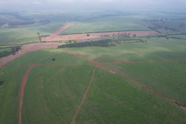 Imagem Fazenda à Venda, 53 m² em Zona Rural - Ipauçu Imagem Fazenda à Venda, 53 m² em Zona Rural - Ipauçu