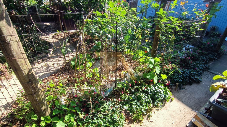 Imagem Imóvel com 3 Quartos à Venda, 156 m² em Campo D´una - Garopaba