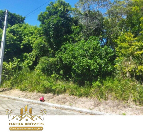 Imagem Terreno à Venda, 300 m² em Coroa Vermelha - Santa Cruz Cabrália Imagem Terreno à Venda, 300 m² em Coroa Vermelha - Santa Cruz Cabrália