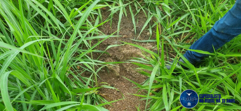 Imagem Fazenda à Venda, 30 m² em Setor Central - Crixás Imagem Fazenda à Venda, 30 m² em Setor Central - Crixás