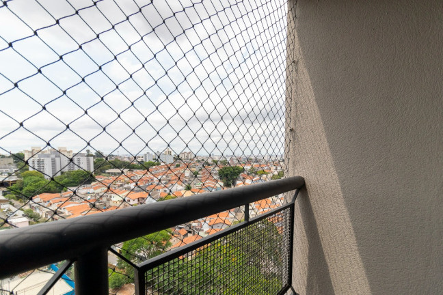 Imagem Apartamento com 3 Quartos à Venda, 61 m² em Vila Arapuã - São Paulo