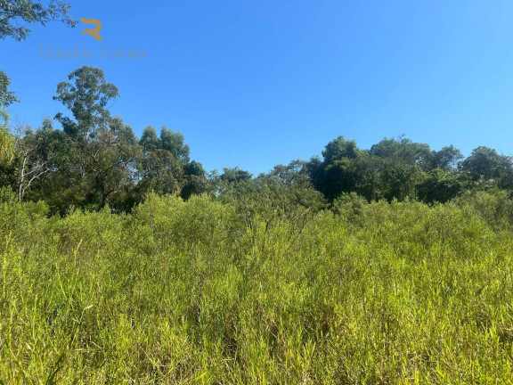 Imagem Chácara com 2 Quartos à Venda, 37.000 m² em Pinheirinho - Capela De Santana Imagem Chácara com 2 Quartos à Venda, 37.000 m² em Pinheirinho - Capela De Santana