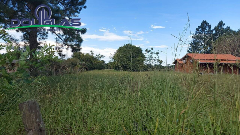Imagem Terreno à Venda, 1.000 m² em Viamão Imagem Terreno à Venda, 1.000 m² em Viamão