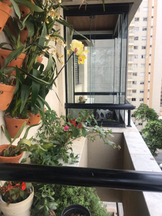 Imagem Imóvel com 1 Quarto à Venda, 44 m² em Indianópolis - São Paulo Imagem Imóvel com 1 Quarto à Venda, 44 m² em Indianópolis - São Paulo