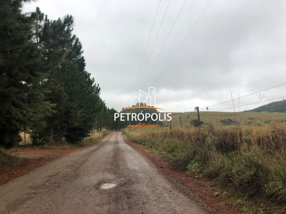 Terreno à Venda, 20.000 m² em área Rural De Caxias Do Sul - Caxias Do Sul