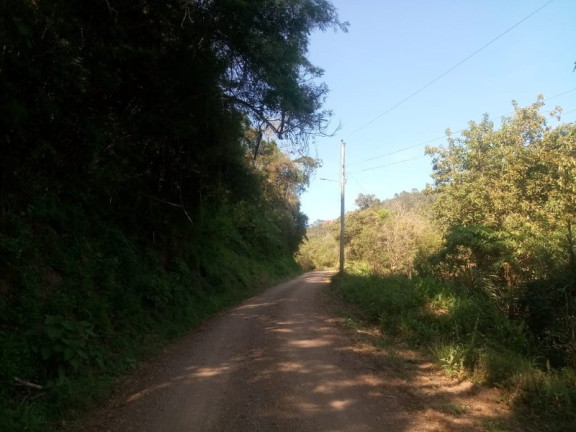 Imagem Terreno à Venda, 7.000 m² em Linha Temerária - Nova Petrópolis