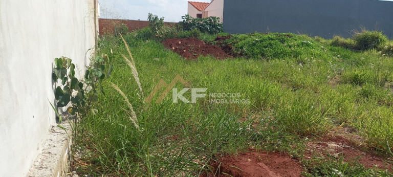 Imagem Terreno à Venda, 266 m² em Centro - Cravinhos Imagem Terreno à Venda, 266 m² em Centro - Cravinhos