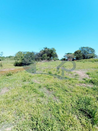 Imagem Chácara à Venda, 4.800 m² em Curralinhos - Passo De Torres Imagem Chácara à Venda, 4.800 m² em Curralinhos - Passo De Torres