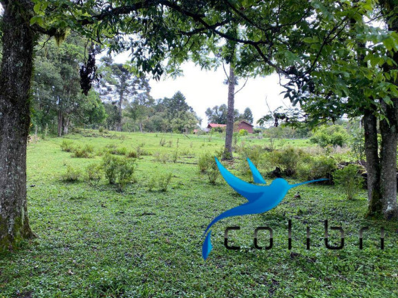 Imagem Chácara com 3 Quartos à Venda, 47.513 m² em Capoeira Dos Dinos - Piraquara