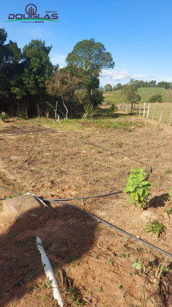 Imagem Chácara com 2 Quartos à Venda, 204.080 m² em Viamão Imagem Chácara com 2 Quartos à Venda, 204.080 m² em Viamão