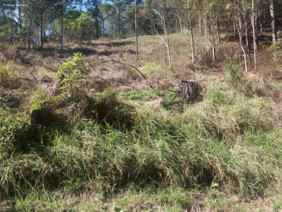 Imagem Terreno à Venda, 6.765 m² em Ouro Fino Paulista - Ribeirão Pires Imagem Terreno à Venda, 6.765 m² em Ouro Fino Paulista - Ribeirão Pires