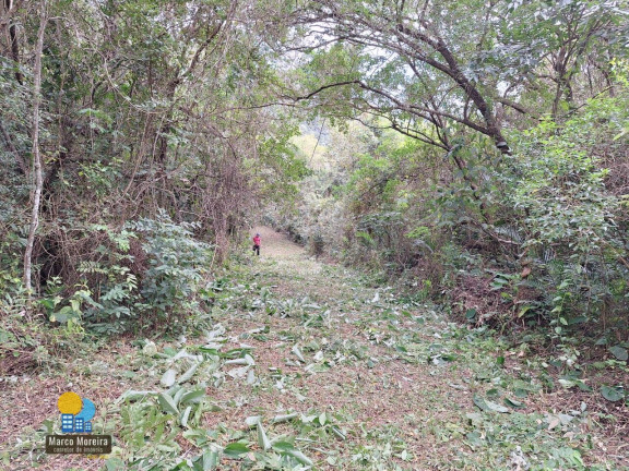 Imagem Terreno à Venda, 8.610 m² em São João Do Rio Vermelho - Florianópolis Imagem Terreno à Venda, 8.610 m² em São João Do Rio Vermelho - Florianópolis