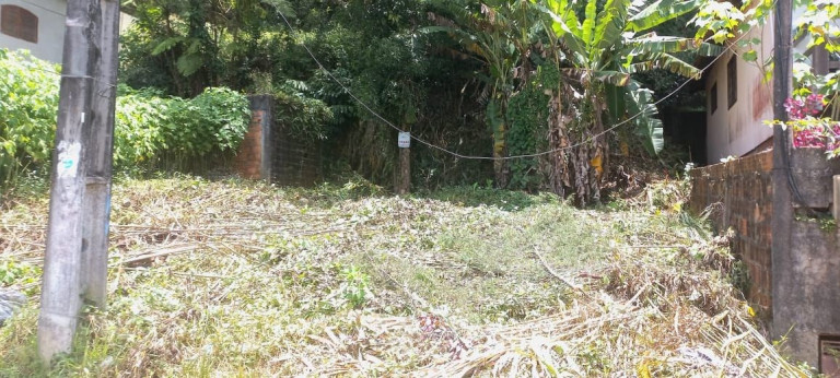 Imagem Terreno à Venda, 250 m² em Granja Guarani - Teresópolis Imagem Terreno à Venda, 250 m² em Granja Guarani - Teresópolis