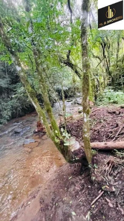 Imagem Imóvel à Venda, 24.000 m² em Capivari - Colombo