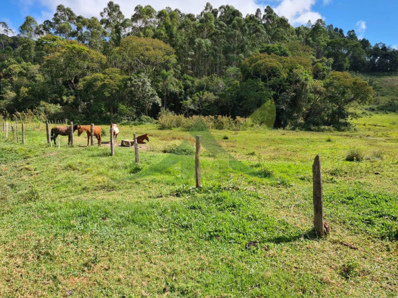 Imagem Chácara com 2 Quartos à Venda, 4.840.000 m² em Piracaia - Piracaia Imagem Chácara com 2 Quartos à Venda, 4.840.000 m² em Piracaia - Piracaia