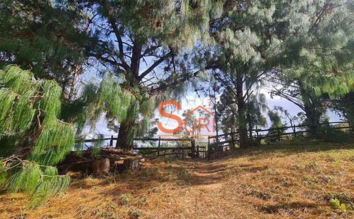 Imagem Terreno à Venda, 140.000 m² em Centro - Silveiras Imagem Terreno à Venda, 140.000 m² em Centro - Silveiras