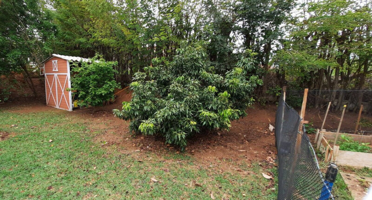 Imagem Chácara com 3 Quartos à Venda, 1.000 m² em Centro - Boituva
