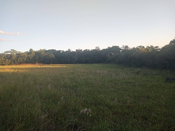 Imagem Chácara à Venda, 47.000 m² em Itapuã - Viamão Imagem Chácara à Venda, 47.000 m² em Itapuã - Viamão