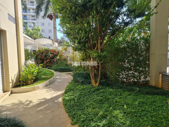 Imagem Apartamento com 3 Quartos à Venda, 75 m² em Chácara Santo Antônio - São Paulo Imagem Apartamento com 3 Quartos à Venda, 75 m² em Chácara Santo Antônio - São Paulo