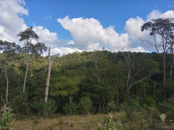 Imagem Imóvel à Venda, 20.000 m² em Roças Novas (caeté - Mg) - Caeté Imagem Imóvel à Venda, 20.000 m² em Roças Novas (caeté - Mg) - Caeté
